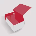 Full Flat Double Tray Cardboard Boxes Image